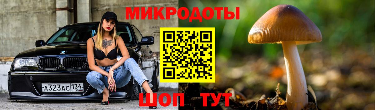 Галлюциногенные грибы Psilocybine cubensis  наркотики  Псилоцибиновые грибы мухоморы  Артёмовский  Вход с VPN 